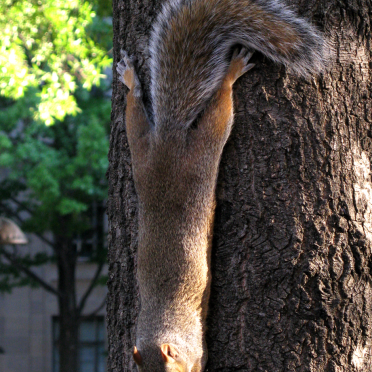 hangin out