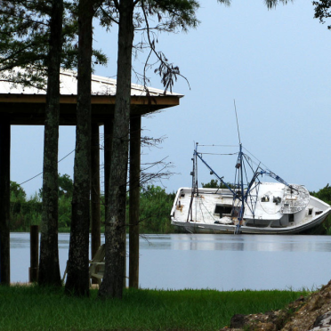 bayou
