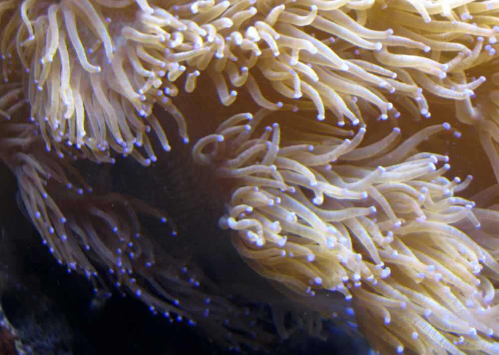 subsea