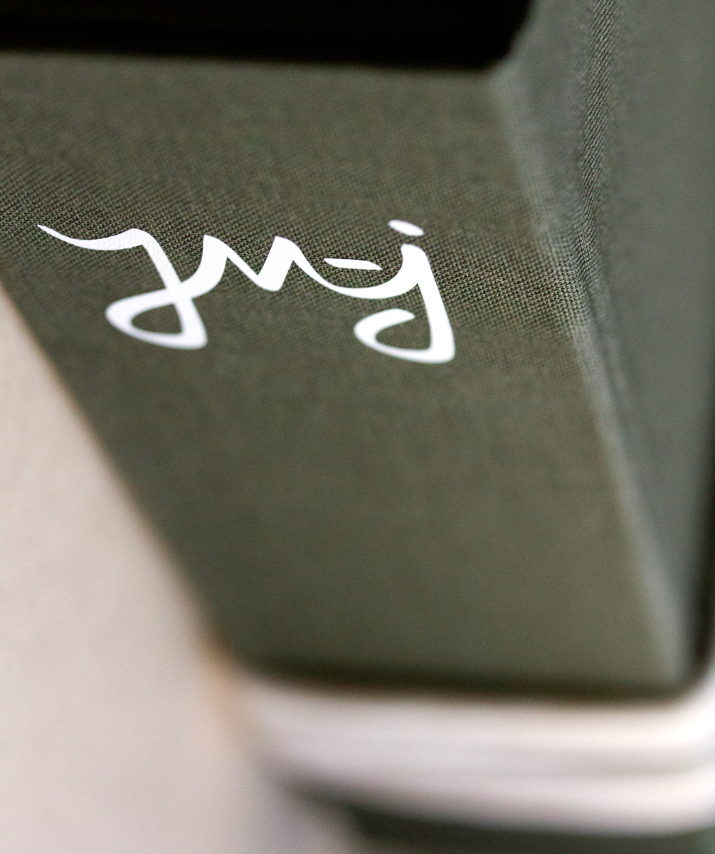 IMJ