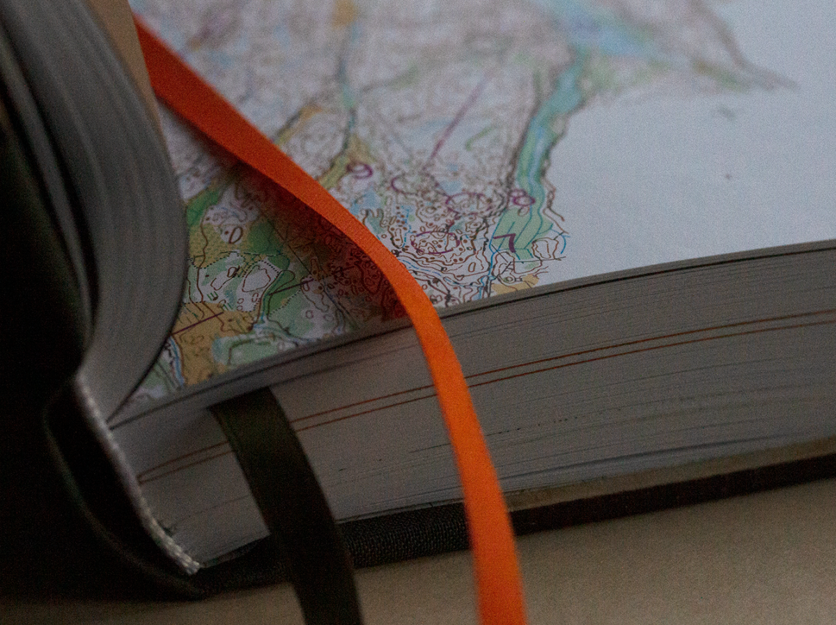 IMJ bands