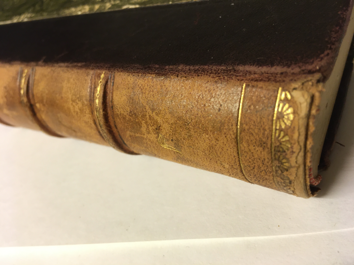 Odd Wiking's book