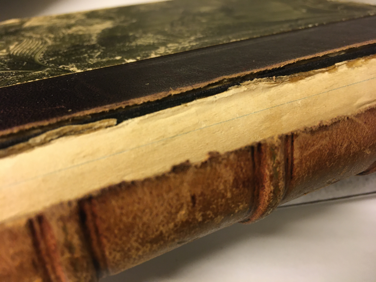 Odd Wiking's book
