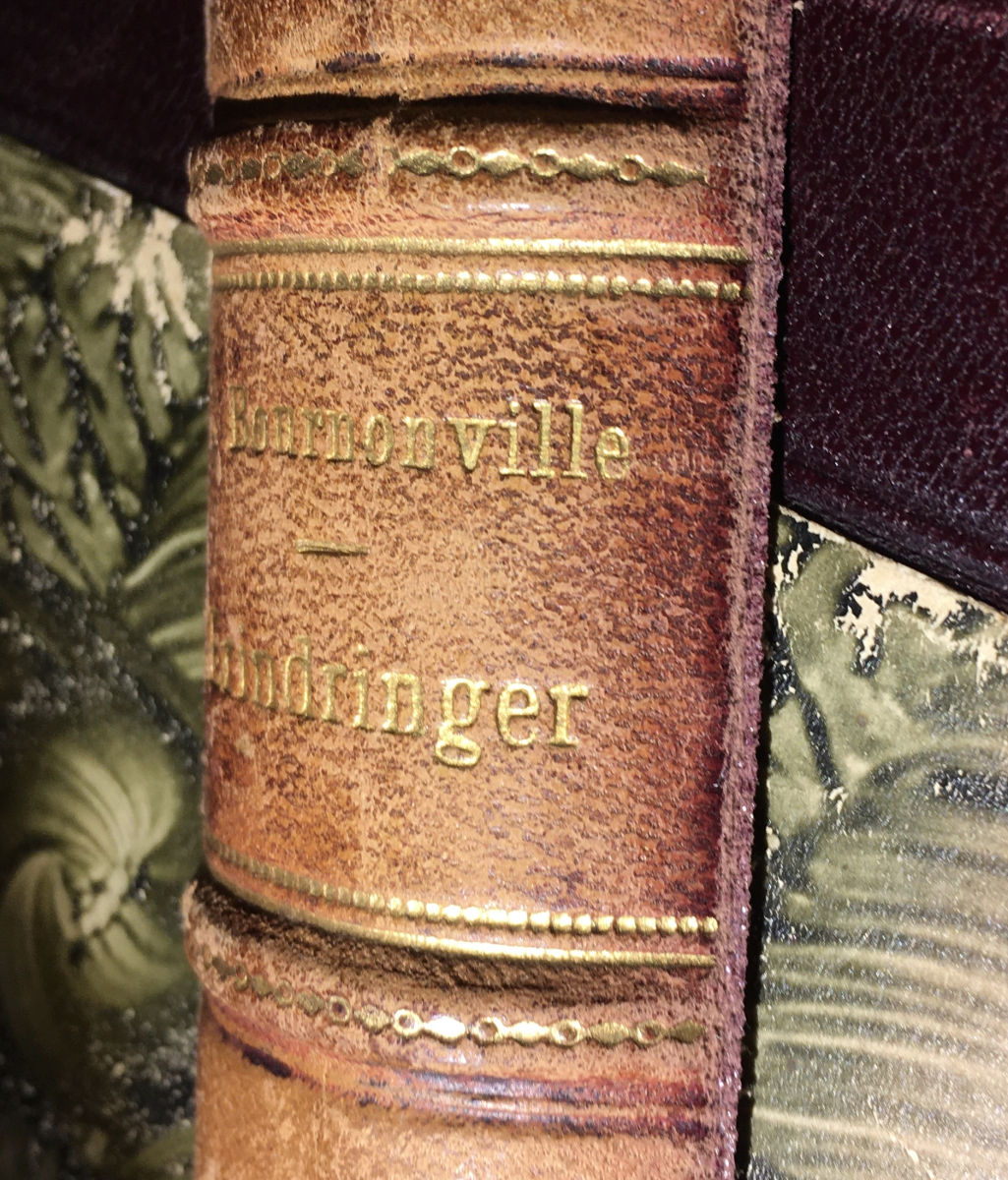 Odd Wiking's book