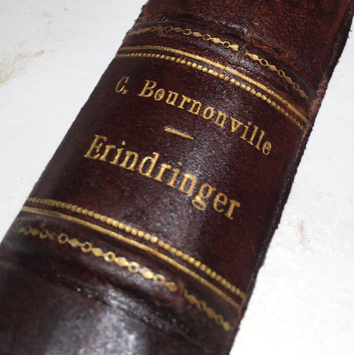 Odd Wiking's book