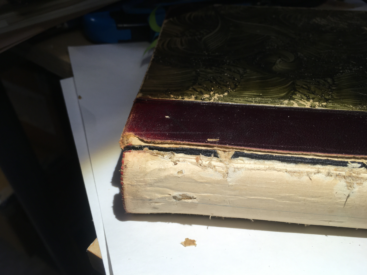 Odd Wiking's book