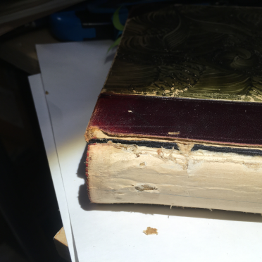 Odd Wiking's book