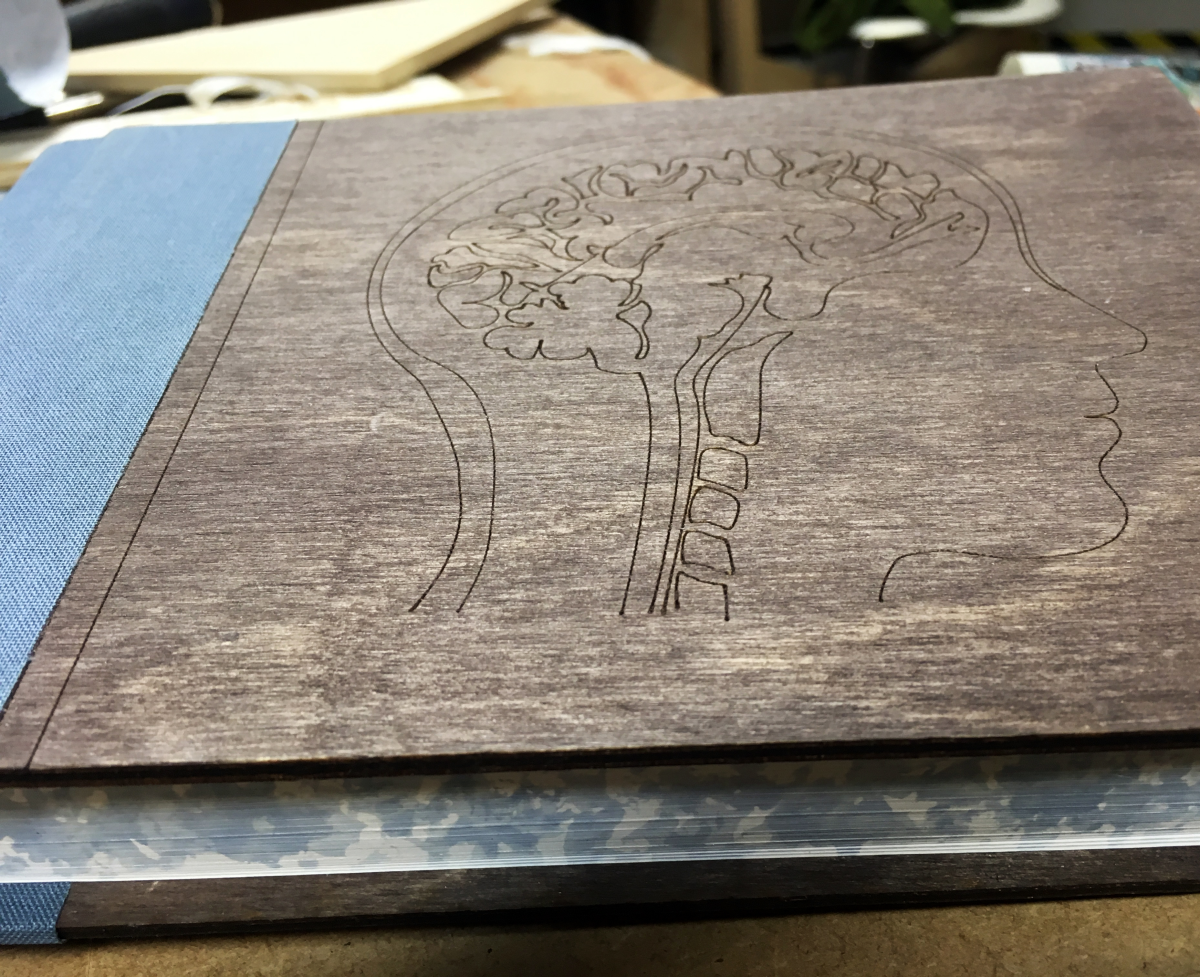 brain book 