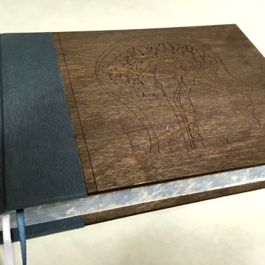 brain book