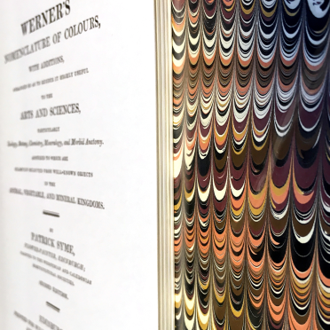 werner's nomenclature of colours