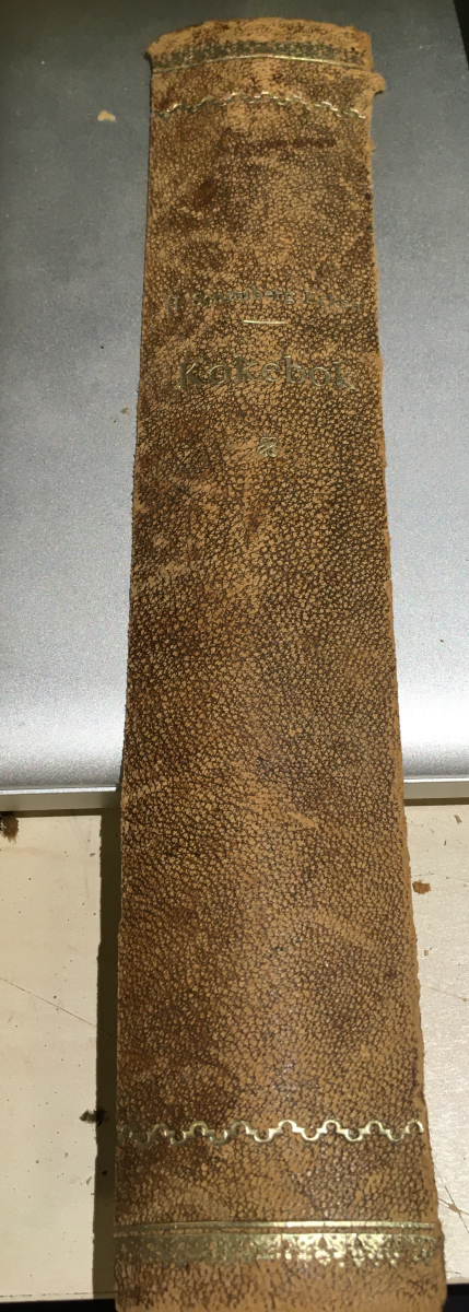 spine before