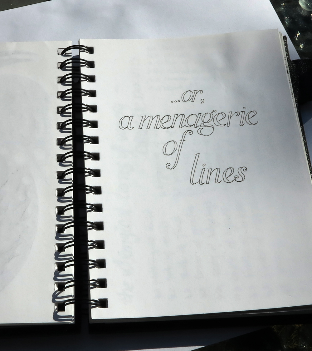 yisela's book: or, a menagerie of lines