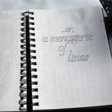 yisela's book: or, a menagerie of lines