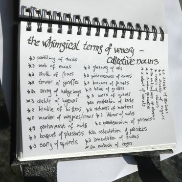 yisela's book - list of collective nouns