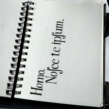 homo. nosce te ipsum