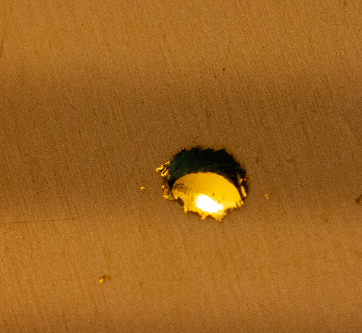 ducat gold on poplar veneer