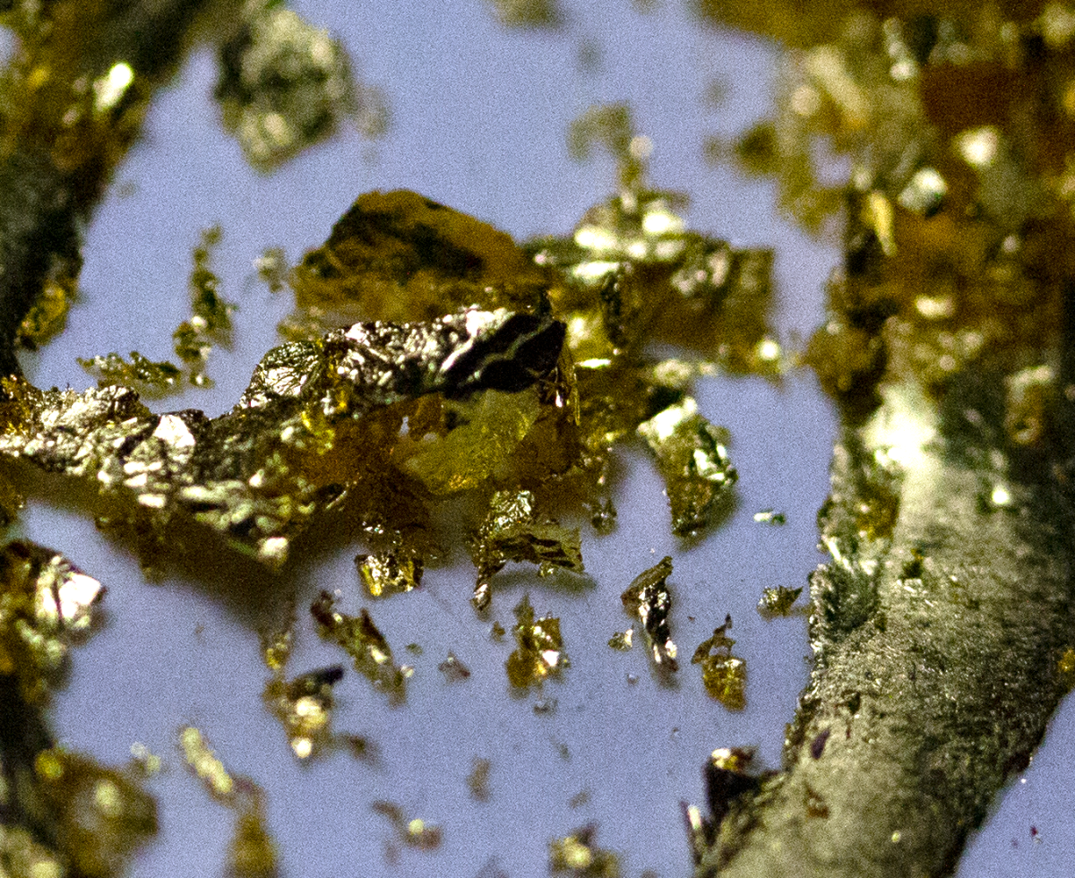 leaf gold dust