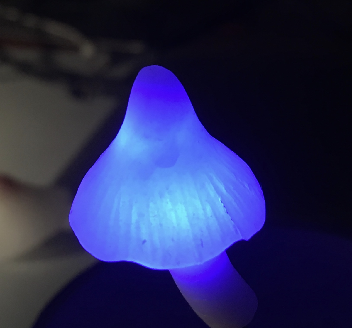 led light 