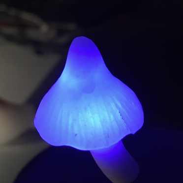 led light 