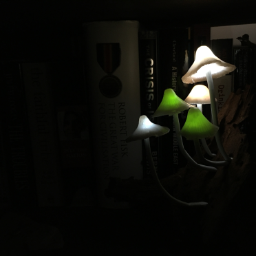 polymer clay shrooms
