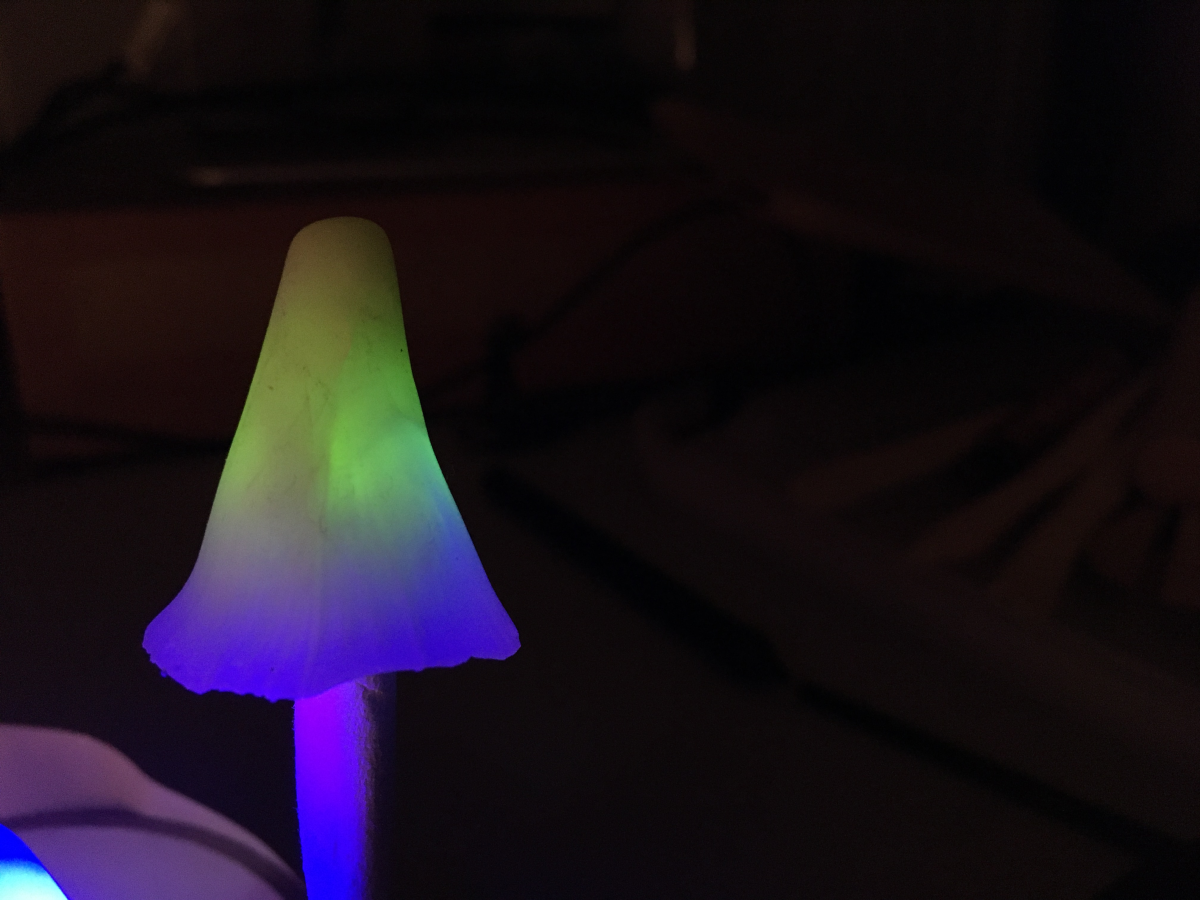 shroom
