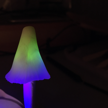 shroom