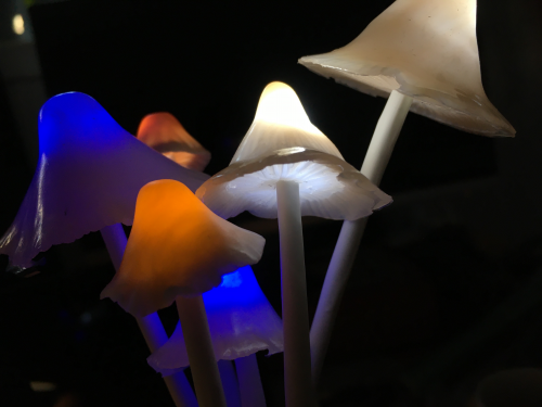 illuminated clay shrooms