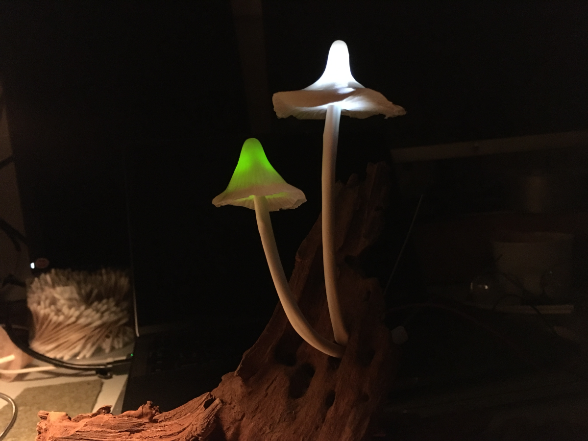 shrooms