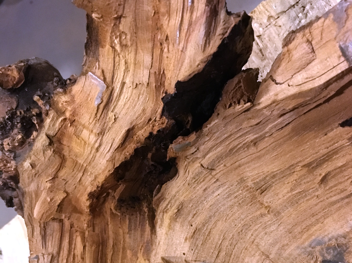 apple wood