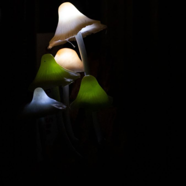 led-light mushrooms