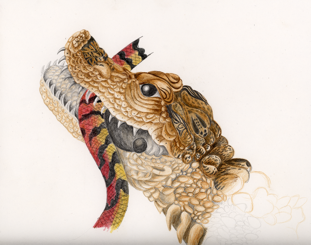 sibylla merian