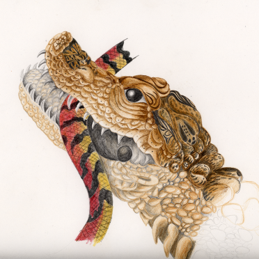sibylla merian