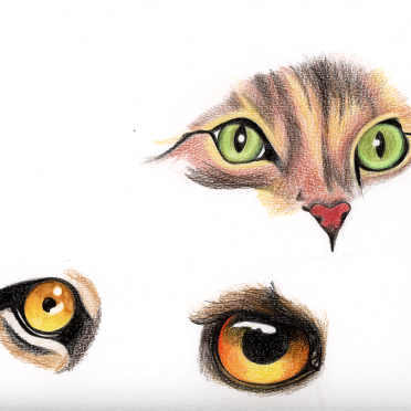 eyes