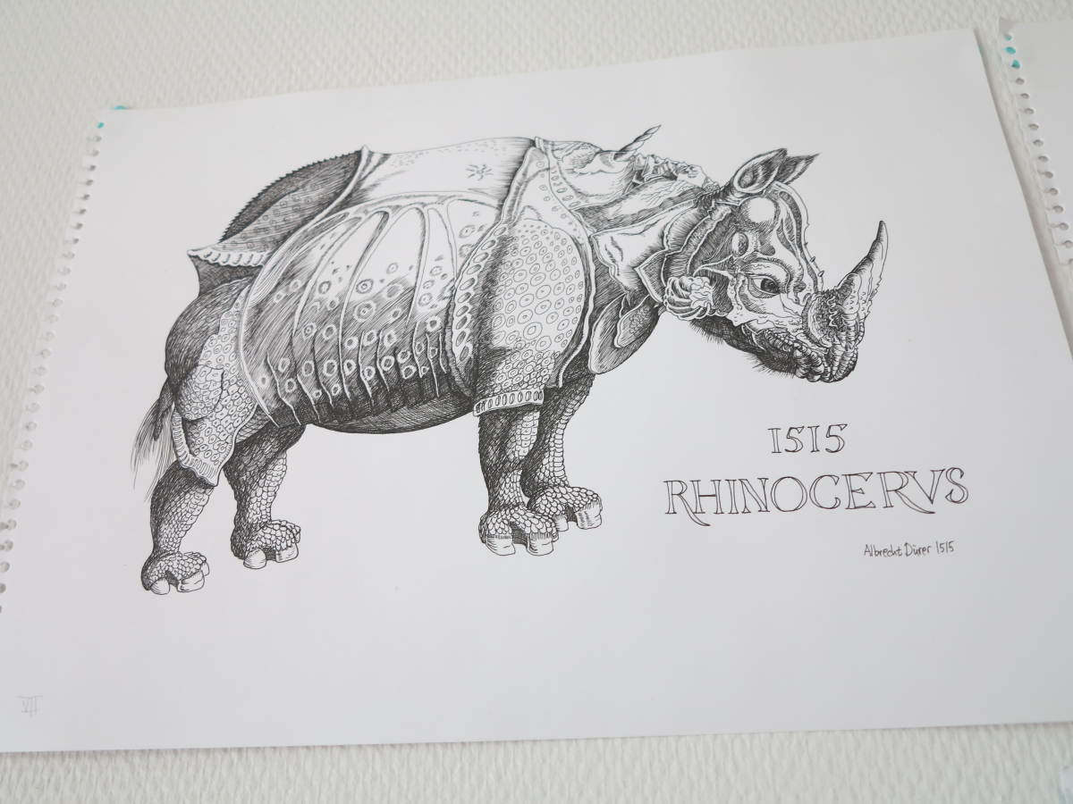 dürer