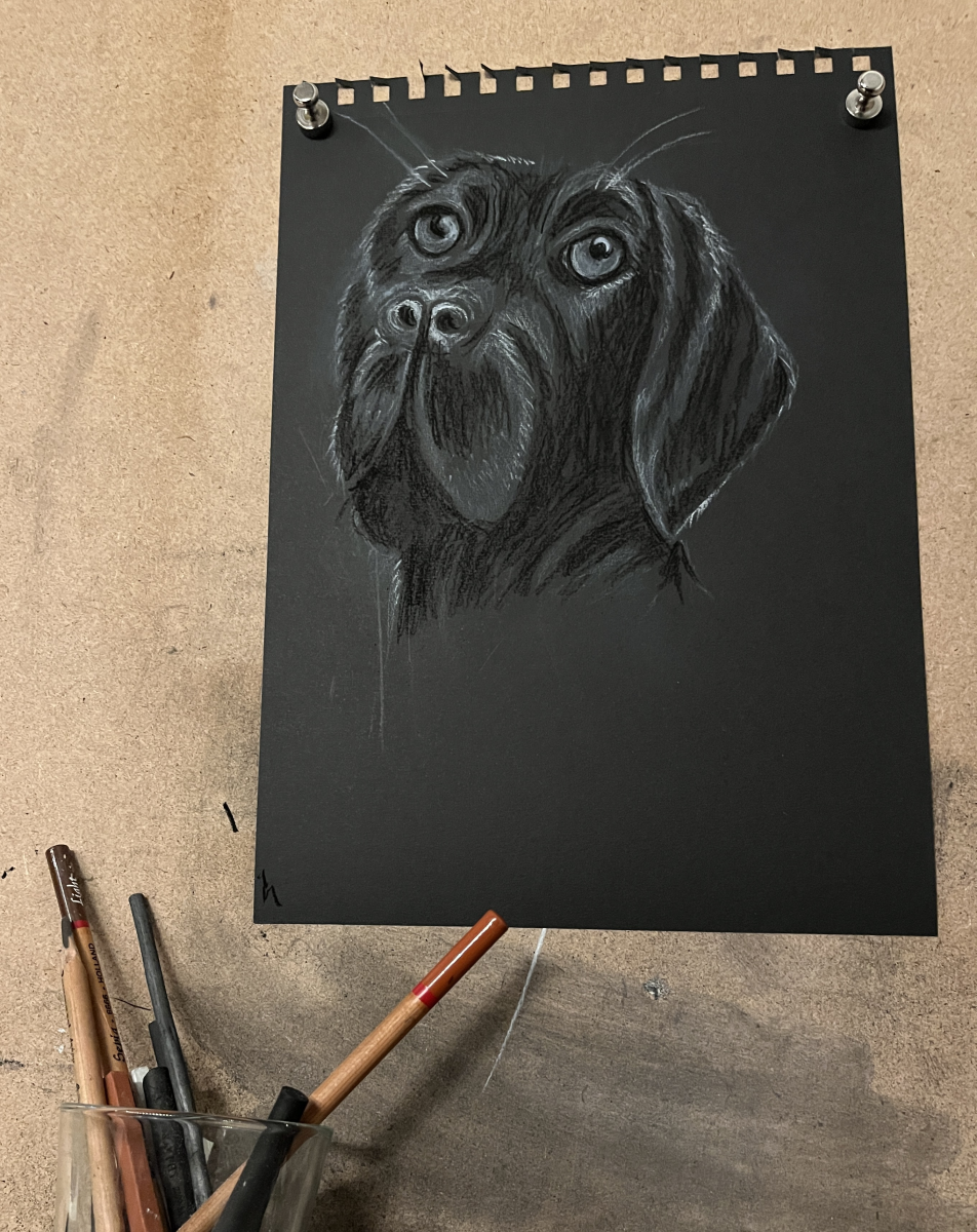 lab