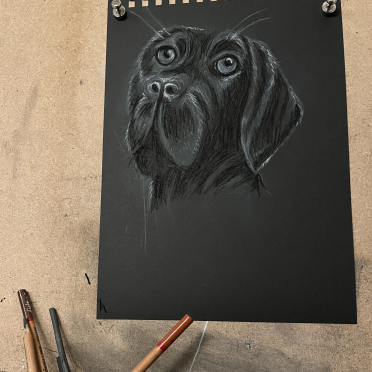 lab