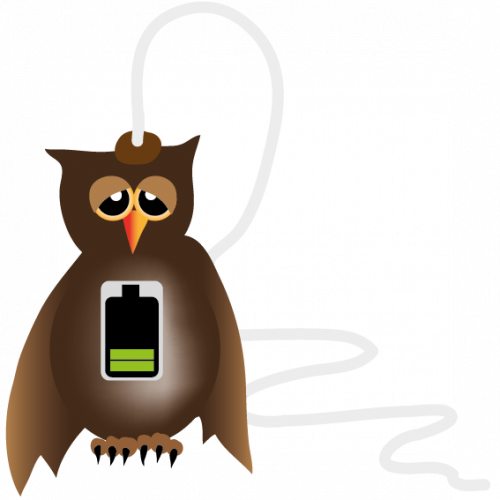 charging-owl