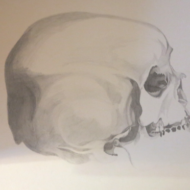skull