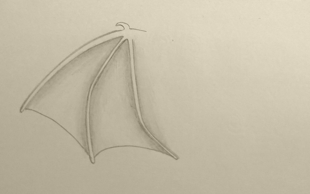 wings
