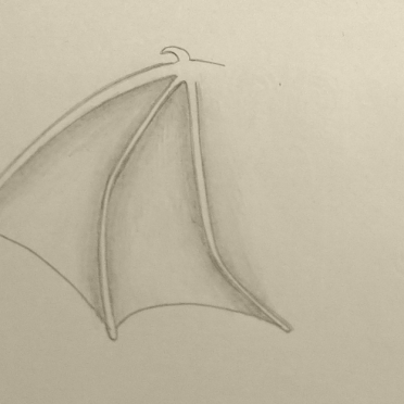 wings