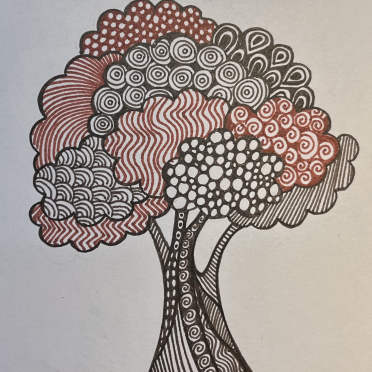 shapes