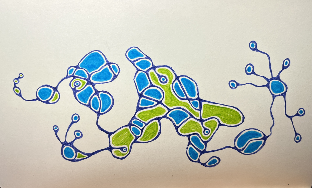 squiggle