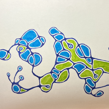 squiggle