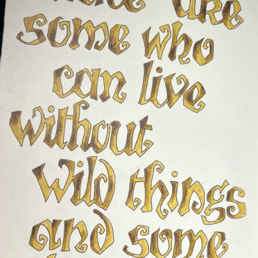 wild things