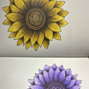 sunflowers