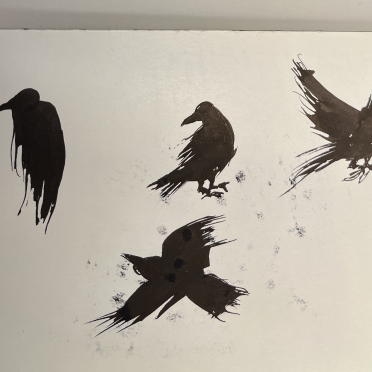 corvids