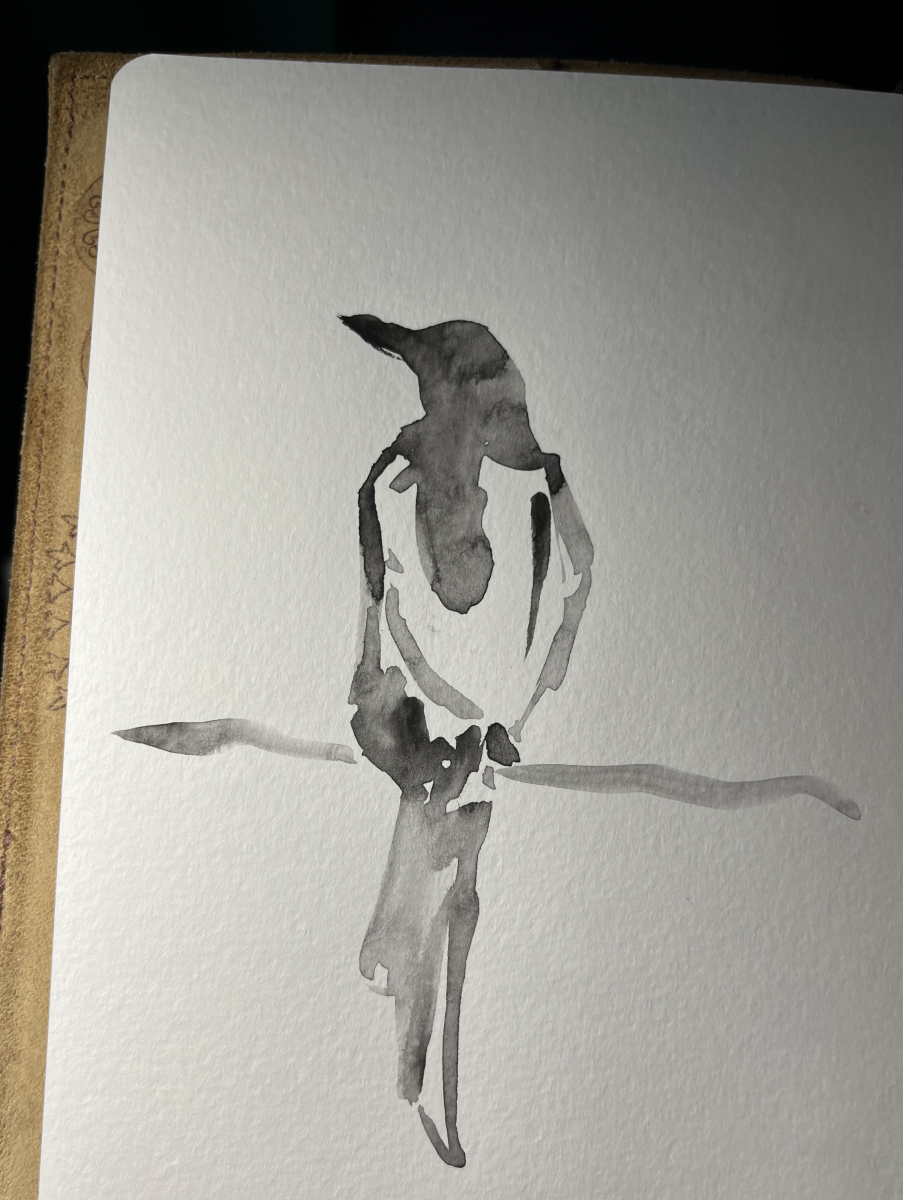 magpie