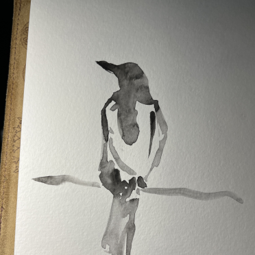 magpie