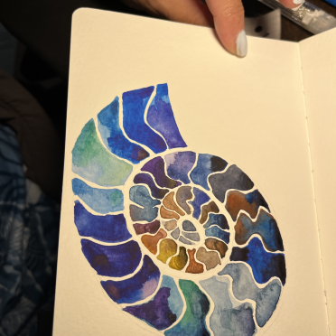 ammonite