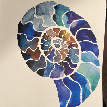 ammonite